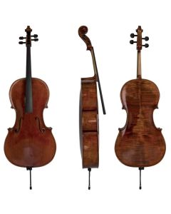 Violoncello Gewa Maestro 26
