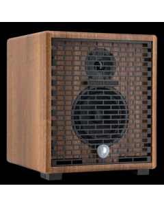 Amplificatore combo Prodipe Natural 5 V2 walnut wood