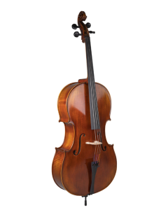 Violoncello Gewa Allegro Anticato set 4/4