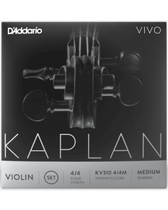 D'Addario Kaplan Vivo violino set