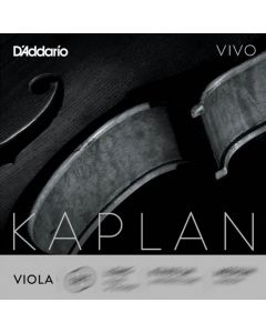 D'Addario Kaplan Vivo viola 4 - Do