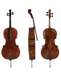 Violoncello Gewa Maestro 26