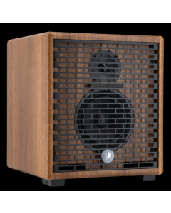 Amplificatore combo Prodipe Natural 5 V2 walnut wood