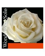 Pirastro Wondertone Solo violino 4 - Re argento